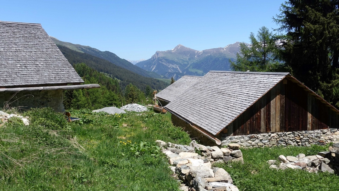 Agriculture and alpine farming - past and today